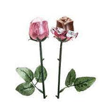 Belgian Chocolate Baby Pink Roses 20 count